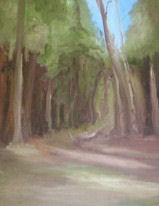meadow lght
