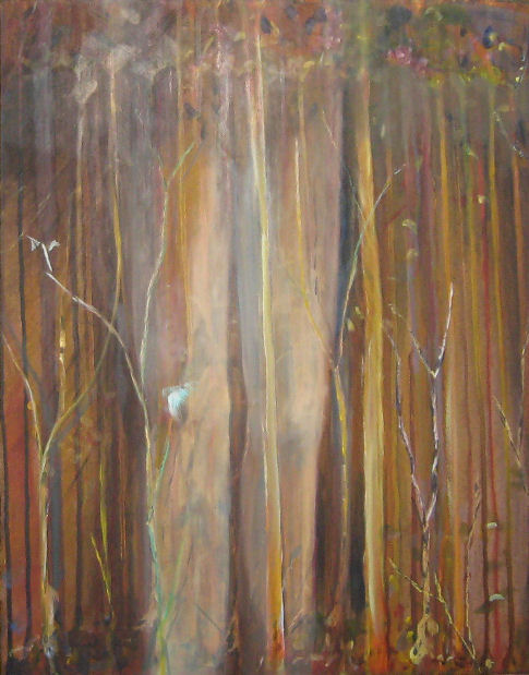 a walk in the woods